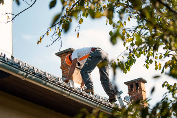 Best Affordable Roofing Company  in Hanna City, IL
