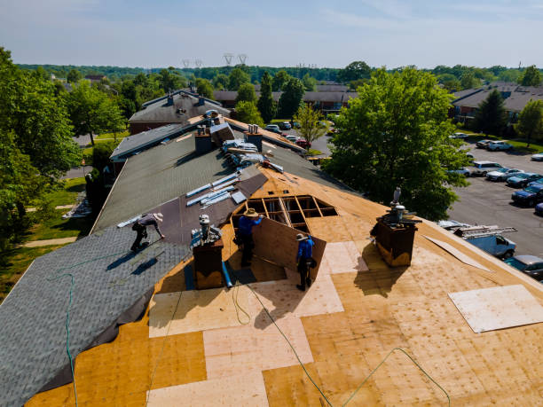 Best Metal Roofing Contractor  in Hanna City, IL