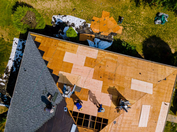 Best Roof Gutter Cleaning  in Hanna City, IL