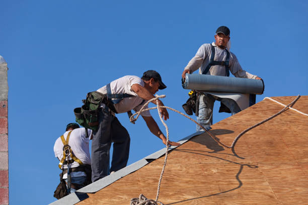 Best Tile Roofing Contractor  in Hanna City, IL