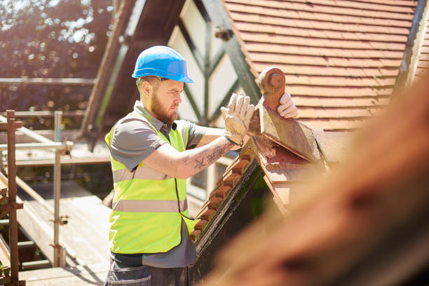 Best Local Roofing Companies  in Hanna City, IL