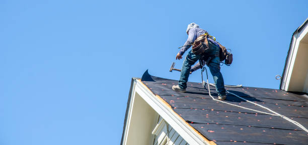 Best Roof Repair Services  in Hanna City, IL